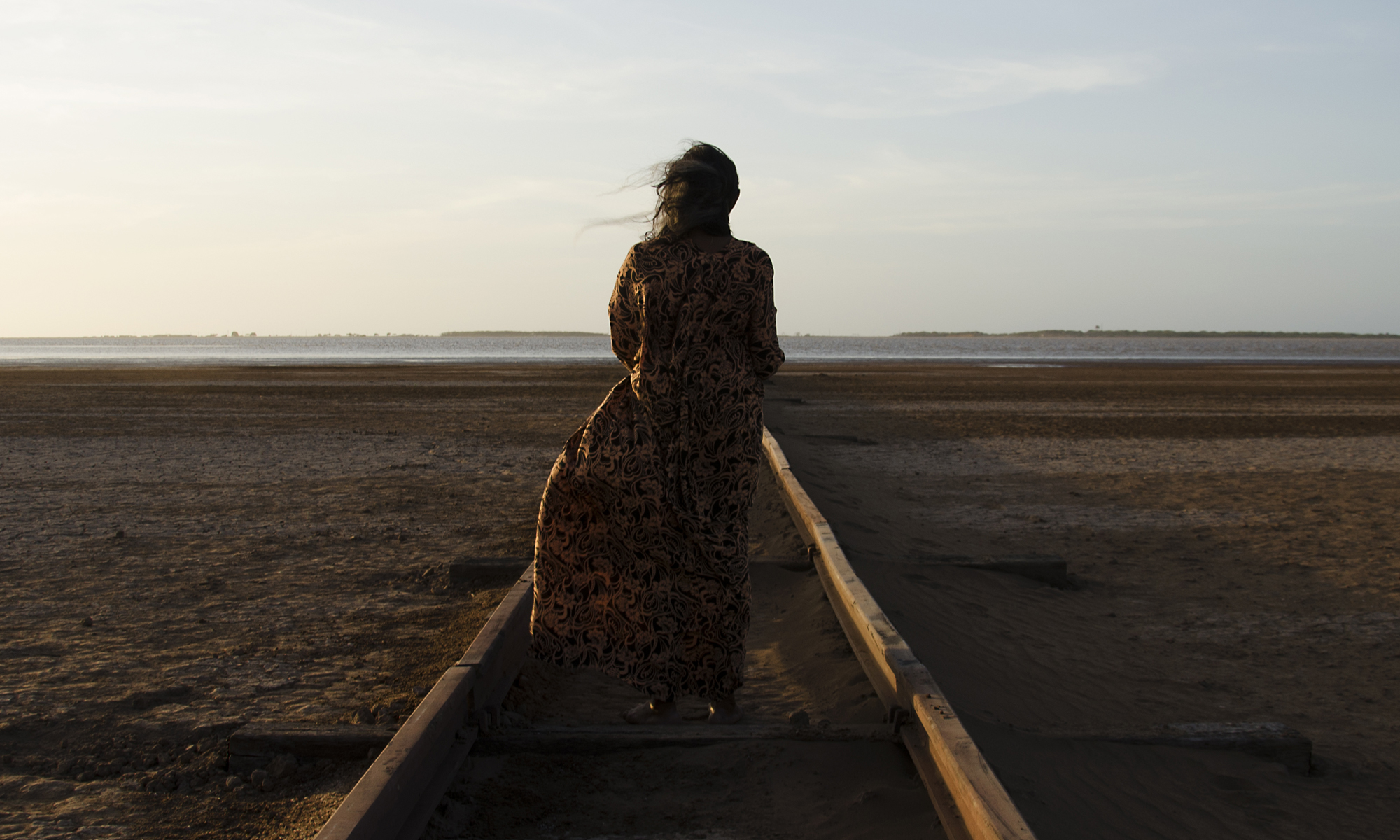 Birds of Passage